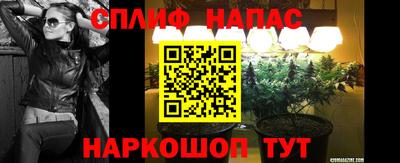 гашик Павлово