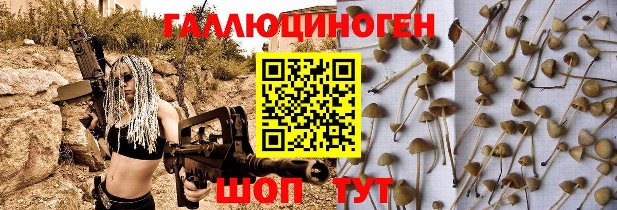 Псилоцибиновые грибы мухоморы  купить закладку  Псилоцибиновые грибы ЛСД  Красноярск  Вход с VPN 